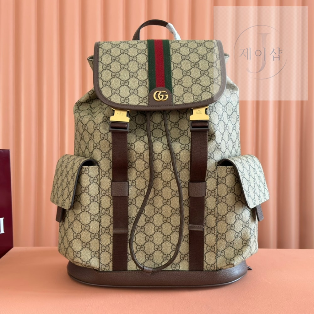 Gucci Ophidia Backpack