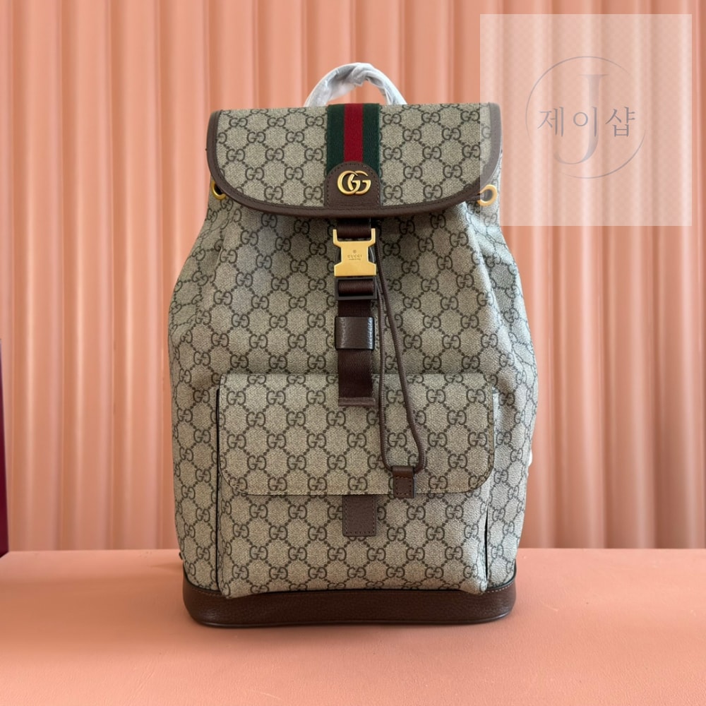 Gucci Ophidia Backpack