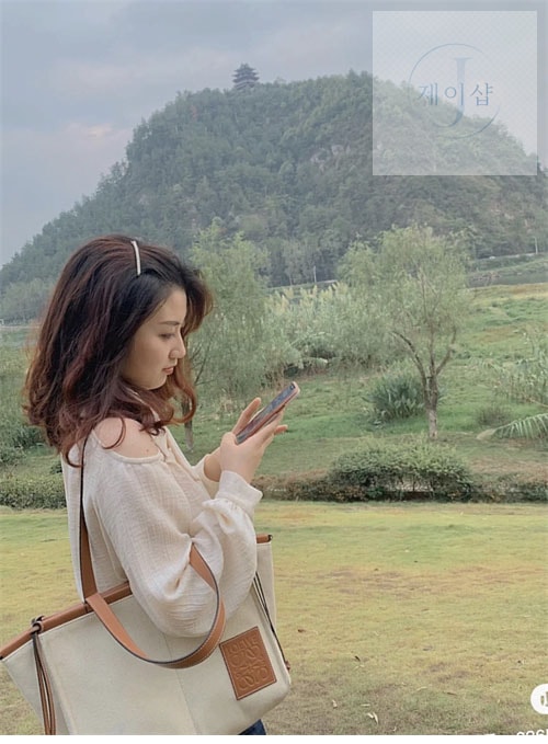 로에베 쿠션 캔버스 토트백 3번 이미지