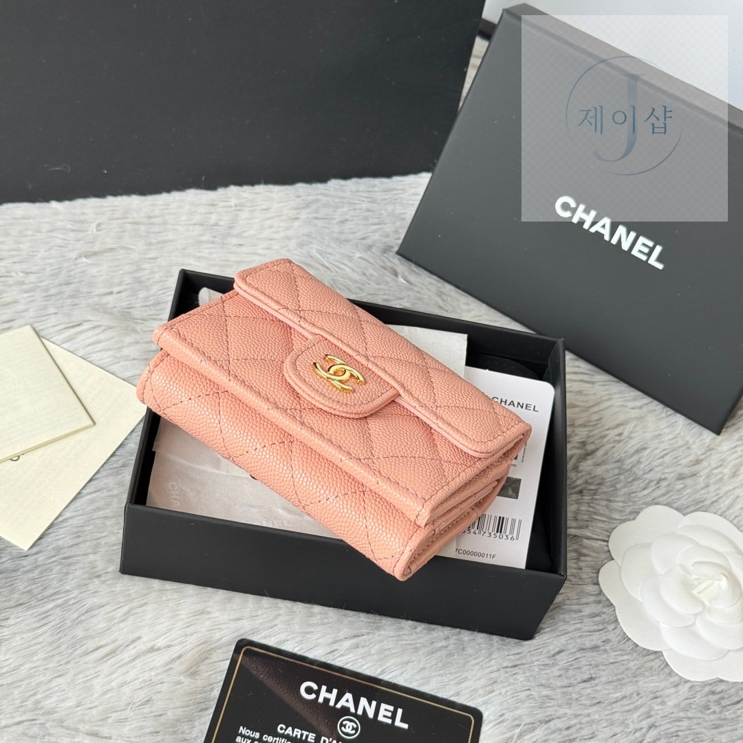 Chanel AP0230 113번 이미지