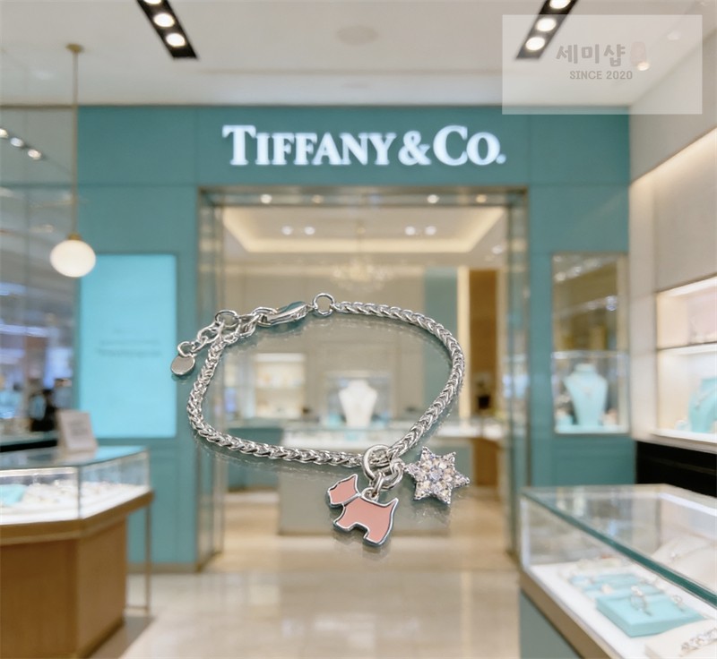 Tiffany And Co 티파니앤코 실버 체인 스타 캐릭터 팬던트 참 브레이슬릿 화이트 골드 악세사리 3번 이미지