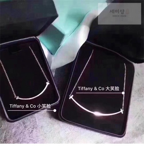 Tiffany And Co 티파니앤코 T스마일 악세사리 14번 이미지