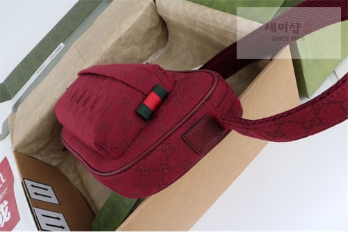 Gucci 구찌 스몰 GG 크로스백 힙색 802096 Bag 10번 이미지