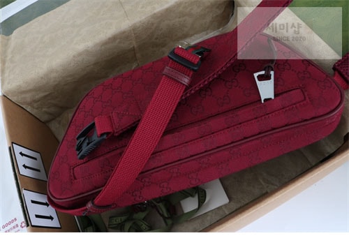 Gucci 구찌 스몰 GG 크로스백 힙색 802096 Bag 16번 이미지