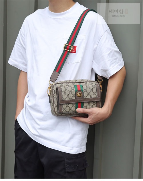 Gucci 구찌 gg 오디피아 크로스백 Bag 6번 이미지
