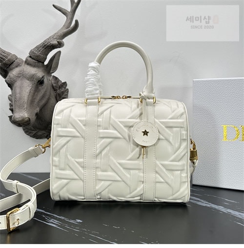 D I O R 디올 그루브 25 나노백 Bag 10번 이미지