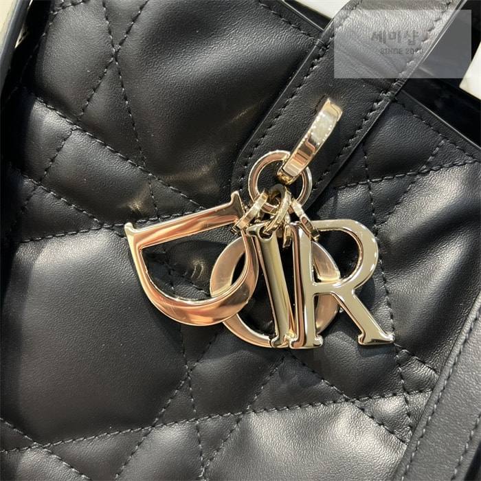D I O R 디올 뚜주흐 미디엄 버티컬 토트백 블랙 매크로까나쥬 Bag 7번 이미지