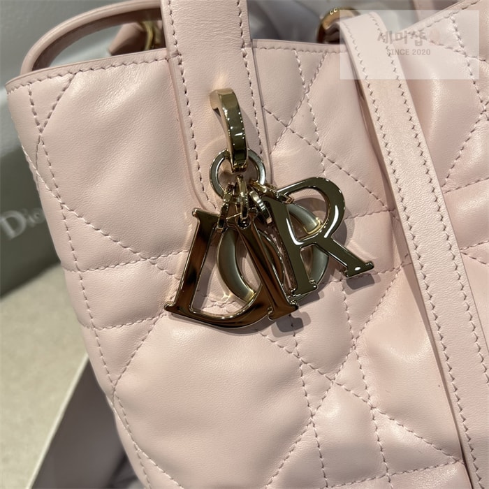D I O R 디올 뚜주흐 스몰 버티컬 토트백 페일 핑크 매크로까나쥬 Bag 10번 이미지