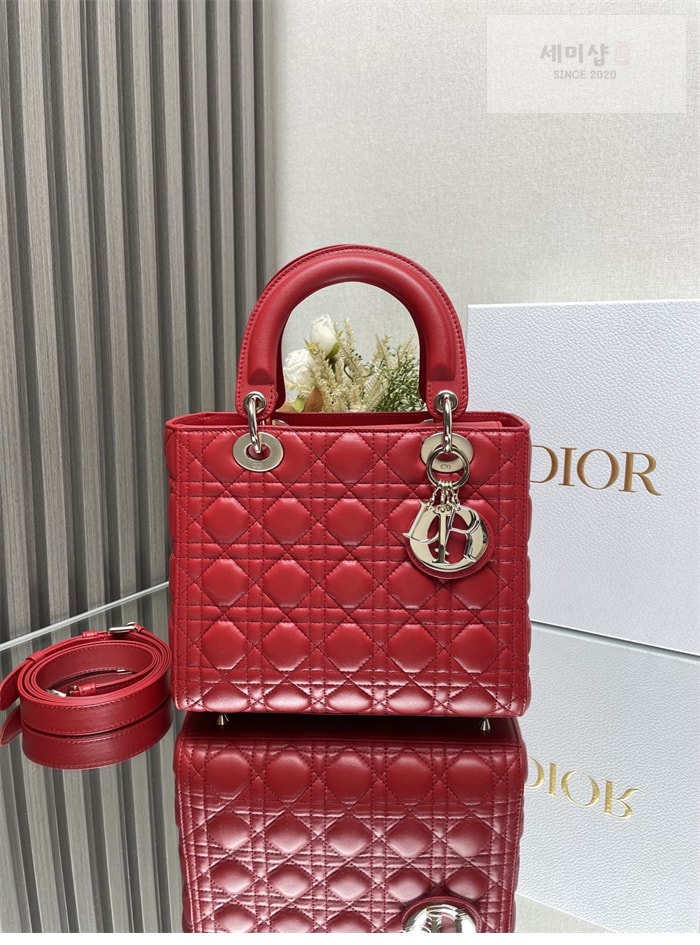 D I O R 디올 레이디 미디엄 토트백 까나쥬 레플리카 11번 이미지 - Bag | 세미샵 레플리카 사이트