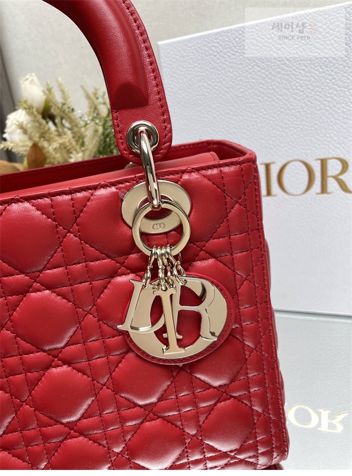 D I O R 디올 레이디 미디엄 토트백 까나쥬 레플리카 21번 이미지 - Bag | 세미샵 레플리카 사이트