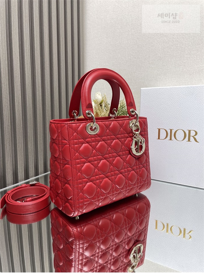 D I O R 디올 레이디 미디엄 토트백 까나쥬 레플리카 20번 이미지 - Bag | 세미샵 레플리카 사이트