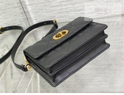 D I O R 디올 미스 카로 숄더백 매크로까나쥬 Bag 10번 이미지