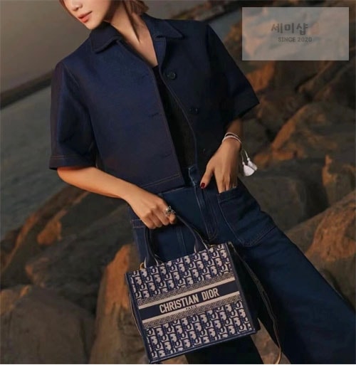 D I O R 디올 북 토트백 스몰 오블리크 블루 Bag 4번 이미지
