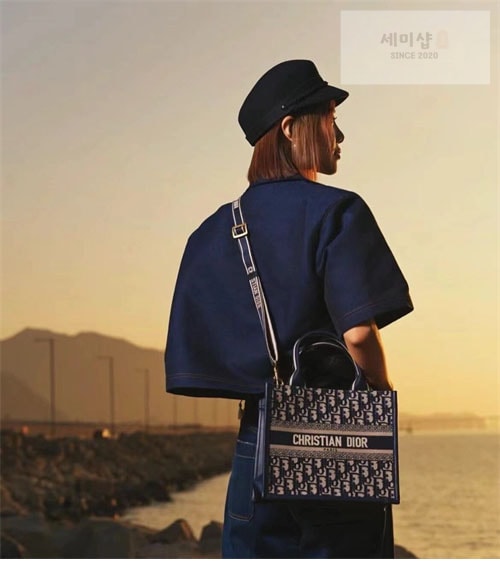 D I O R 디올 북 토트백 스몰 오블리크 블루 Bag 2번 이미지