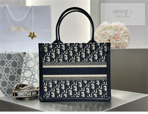 D I O R 디올 북 토트백 스몰 오블리크 블루 Bag 6번 이미지