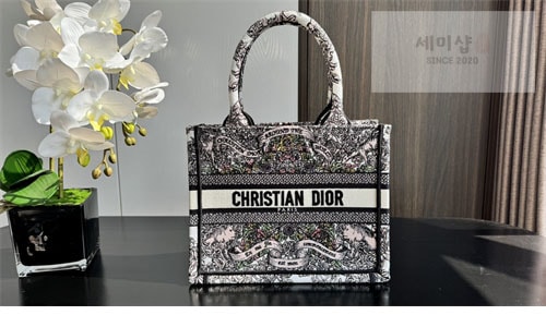 D I O R 디올 북 토트백 어라운드 더 월드 라떼 멀티 Bag 6번 이미지