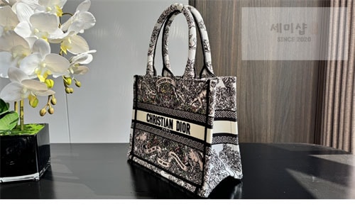 D I O R 디올 북 토트백 어라운드 더 월드 라떼 멀티 Bag 10번 이미지