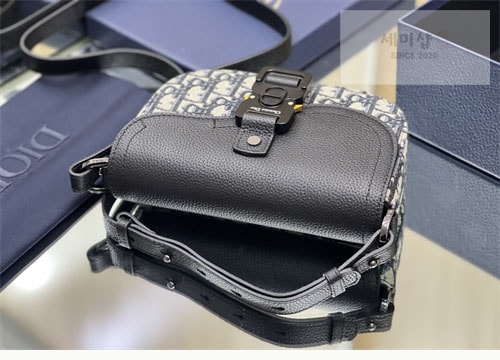 D I O R 디올 오블리크 스트랩 새들 파우치 백 Bag 9번 이미지