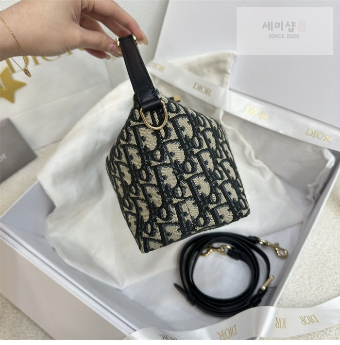D I O R 디올 트래블 노마드 Nomad 미디엄 파우치 오블리크 Bag 12번 이미지