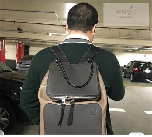 Loewe 로에베 고야 백팩 Bag 7번 이미지