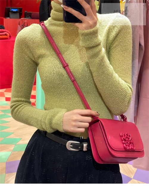 Loewe 로에베 스몰 고야 백 4컬러 Bag 10번 이미지