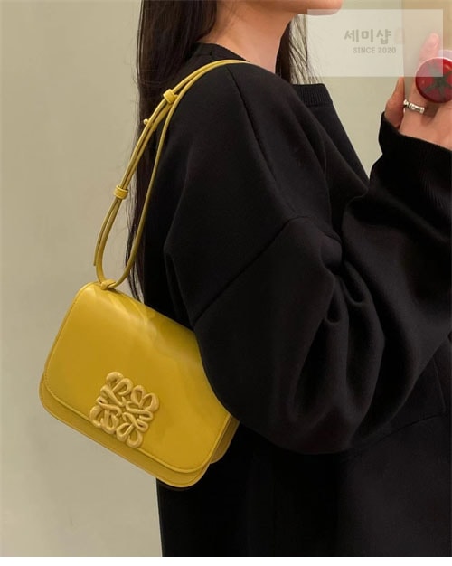Loewe 로에베 스몰 고야 백 4컬러 Bag 5번 이미지
