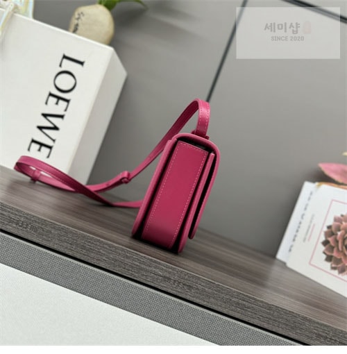 Loewe 로에베 스몰 고야 백 4컬러 Bag 29번 이미지