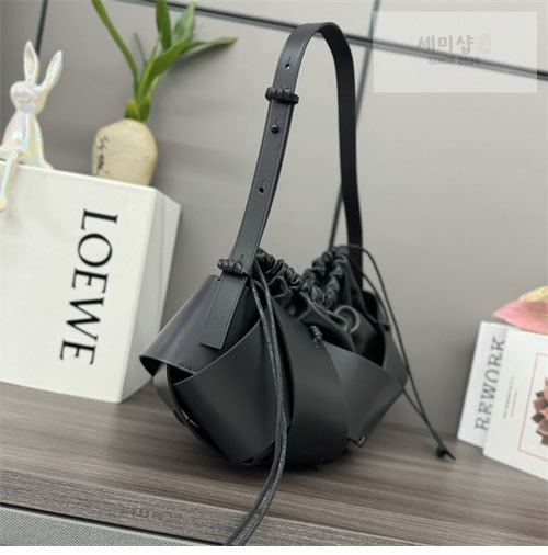 Loewe 로에베 인터레이스 호보백 2컬러 Bag 5번 이미지