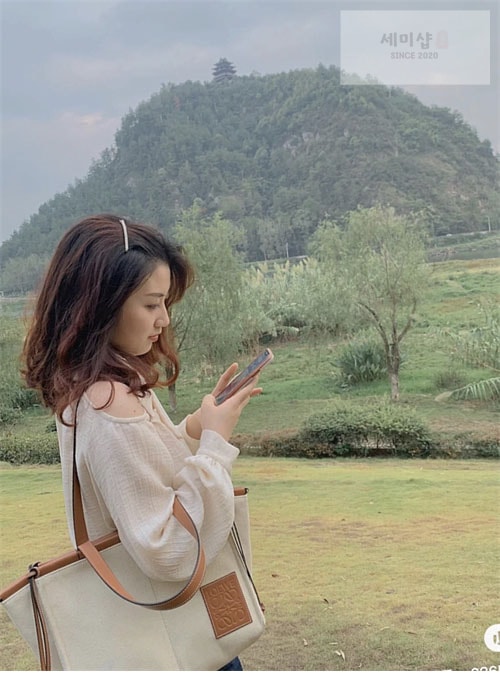 Loewe 로에베 쿠션 캔버스 토트백 Bag 3번 이미지