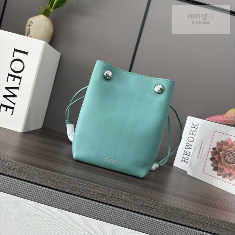Loewe 로에베 페블 버킷백 Bag 4번 이미지