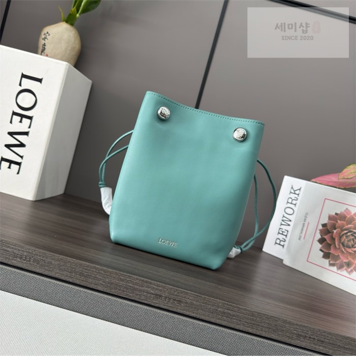 Loewe 로에베 페블 버킷백 Bag 11번 이미지