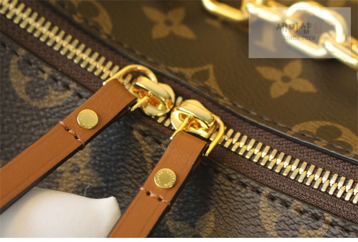 Louis Vuitton 루이비통 루프 호보 모노그램 M46311 모노그램 Bag 1번 이미지