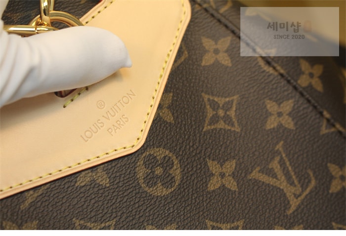 Louis Vuitton 루이비통 모노그램 몽수리 PM M11198 모노그램 Bag 2번 이미지