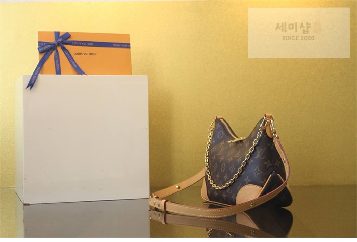 Louis Vuitton 루이비통 불로뉴 PM 베쥬 모노그램 M45832 모노그램 Bag 3번 이미지