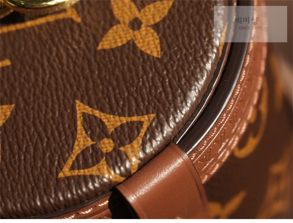 Louis Vuitton 루이비통 빠삐용 트렁크 핸드백 모노그램 캔버스 M57835 / 커스텀 철물 모노그램 Bag 15번 이미지