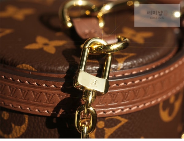 Louis Vuitton 루이비통 빠삐용 트렁크 핸드백 모노그램 캔버스 M57835 / 커스텀 철물 모노그램 Bag 18번 이미지
