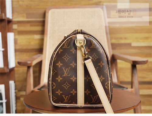 Louis Vuitton 루이비통 스피디 나노 모노그램 크로스백 M41112 / 구형 모노그램 Bag 11번 이미지