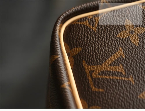 Louis Vuitton 루이비통 스피디 나노 모노그램 크로스백 M41112 / 구형 모노그램 Bag 8번 이미지