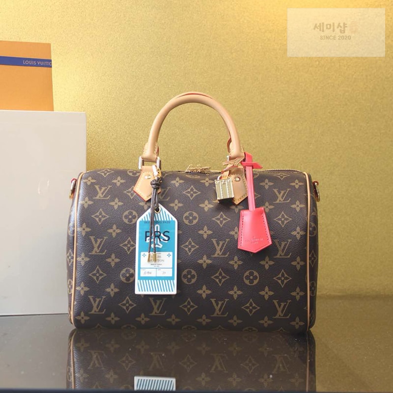 Louis Vuitton 루이비통 스피디 소프트 30 크래프티 모노그램 M11945 모노그램 Bag 4번 이미지