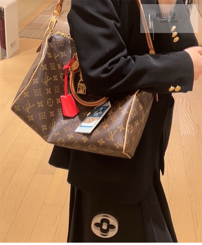 Louis Vuitton 루이비통 스피디 소프트 30 크래프티 모노그램 M11945 모노그램 Bag 3번 이미지