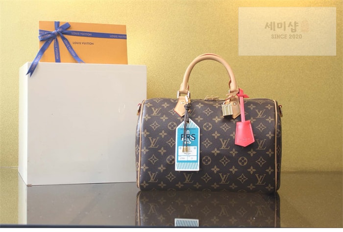 Louis Vuitton 루이비통 스피디 소프트 30 크래프티 모노그램 M11945 모노그램 Bag 2번 이미지