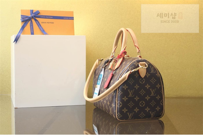 Louis Vuitton 루이비통 스피디 소프트 30 크래프티 모노그램 M11945 모노그램 Bag 8번 이미지