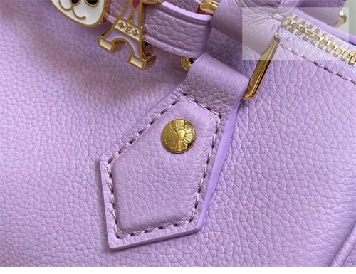 Louis Vuitton 루이비통 스피디 18 M24605 퍼플 Bag 3번 이미지