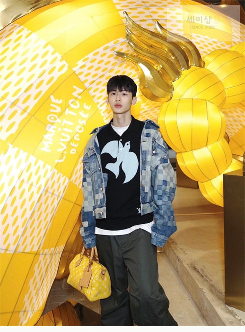 Louis Vuitton 루이비통 스피디 29 반둘리에 25 M24426 매트 옐로우 Bag 17번 이미지