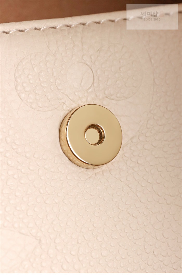 Louis Vuitton 루이비통 월릿 온 체인 아이비 앙프렝뜨 모노그램 M82210 크림 Bag 19번 이미지
