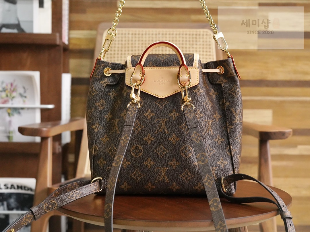 Louis Vuitton 루이비통 익스커션 PM 모노그램 백팩 M46932 모노그램 Bag 5번 이미지