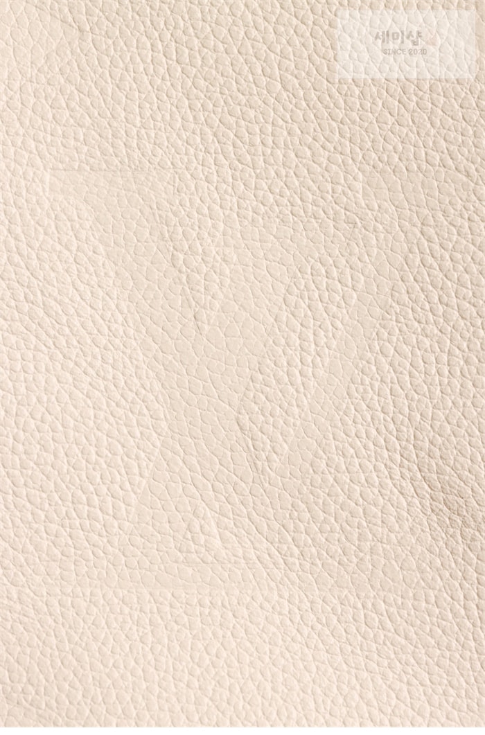 Louis Vuitton 루이비통 캐리올 PM 앙프렝트 모노그램 M46293 크림 Bag 7번 이미지