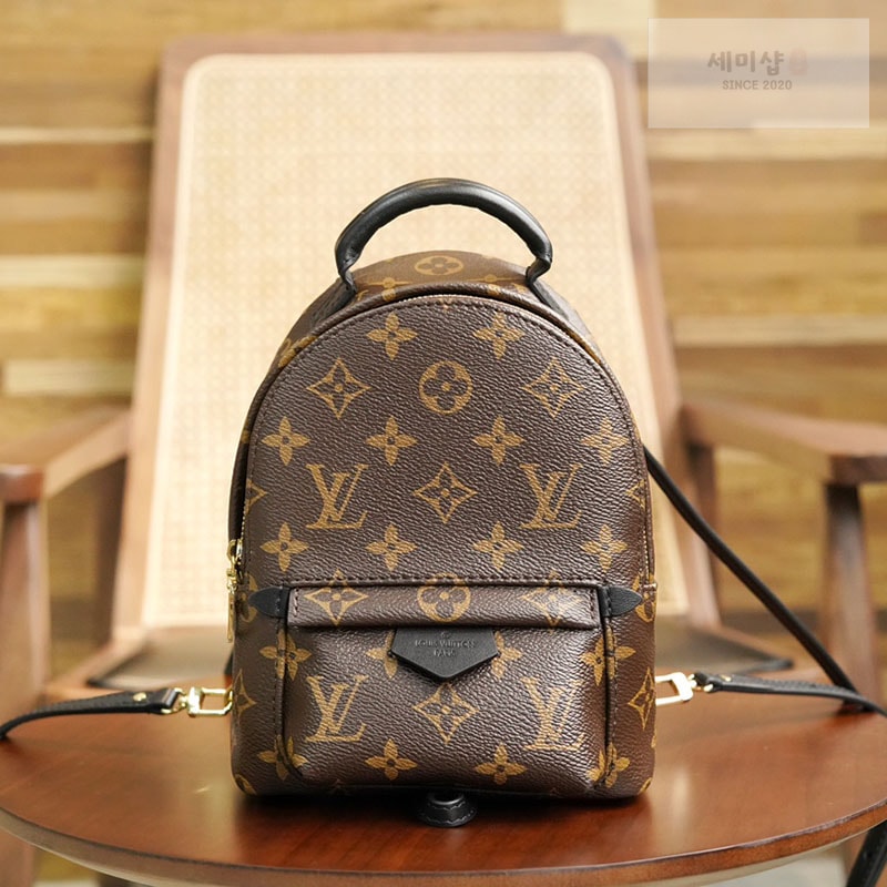 Louis Vuitton 루이비통 팜 스프링스 백팩 미니 M44873 모노그램 Bag 6번 이미지