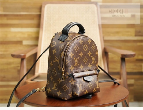 Louis Vuitton 루이비통 팜 스프링스 백팩 미니 M44873 모노그램 Bag 2번 이미지