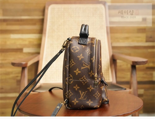 Louis Vuitton 루이비통 팜 스프링스 백팩 미니 M44873 모노그램 Bag 7번 이미지